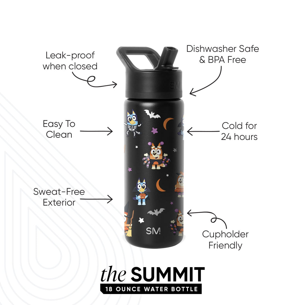 Summit Water Bottle with Straw Lid