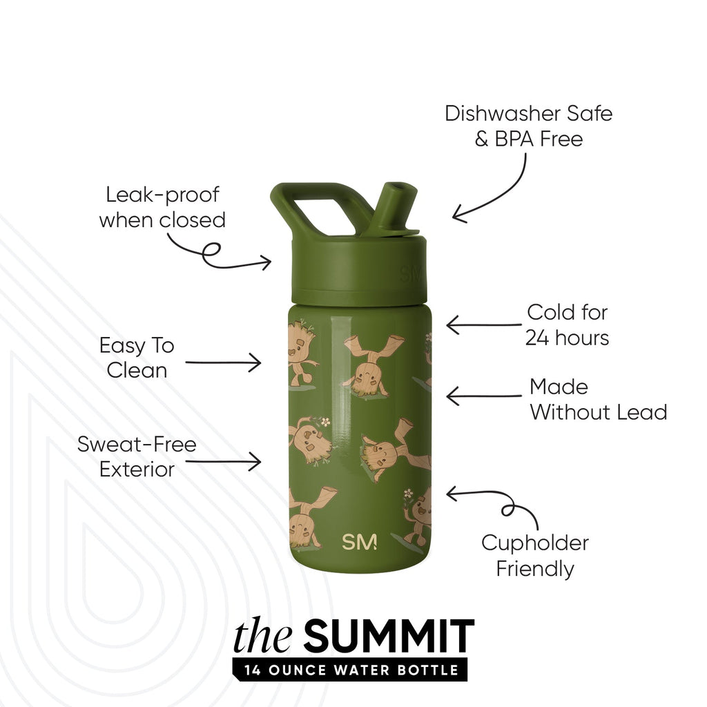 Summit Kids Water Bottle with Straw Lid