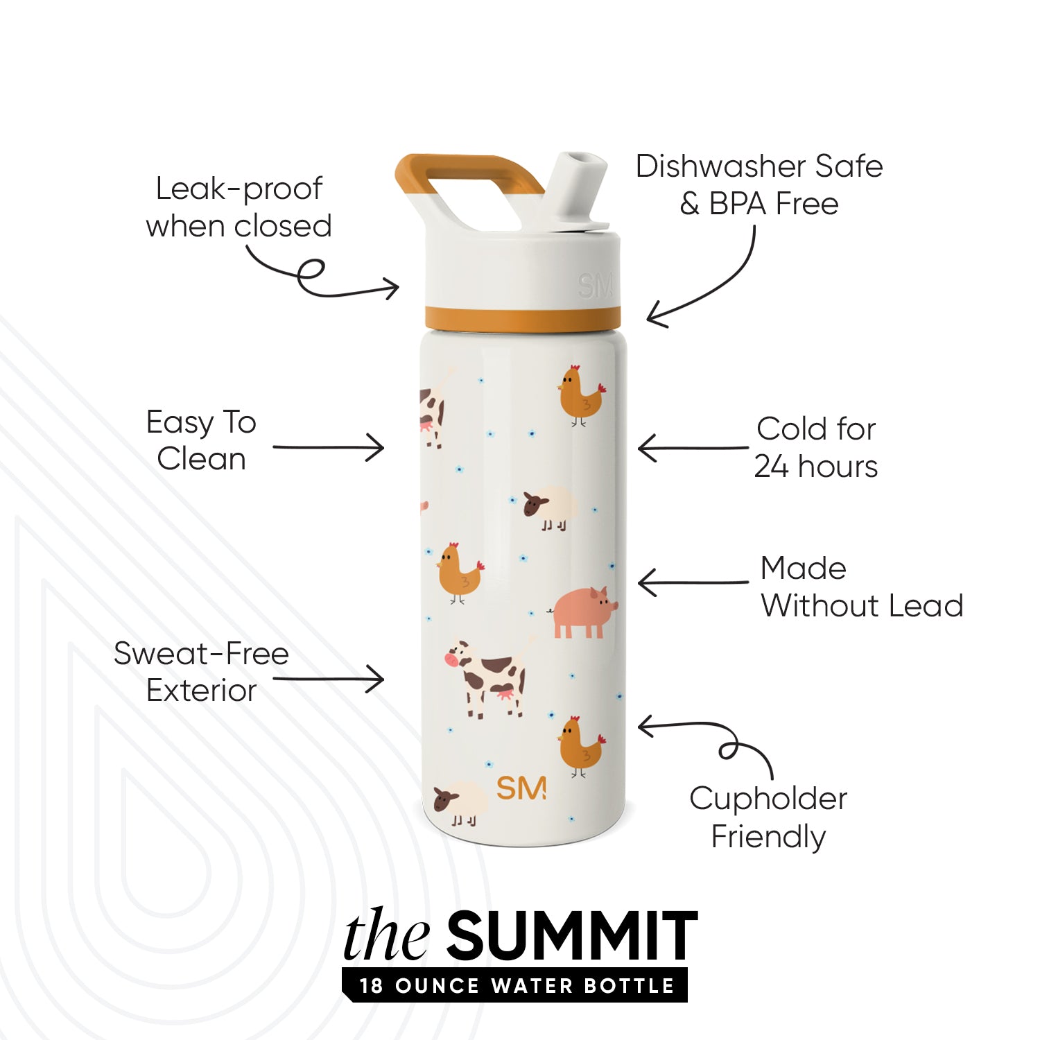 Summit Kids Water Bottle with Straw Lid