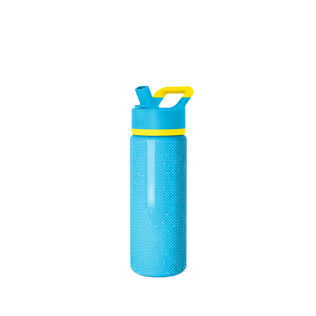 Summit Water Bottle with Straw Lid