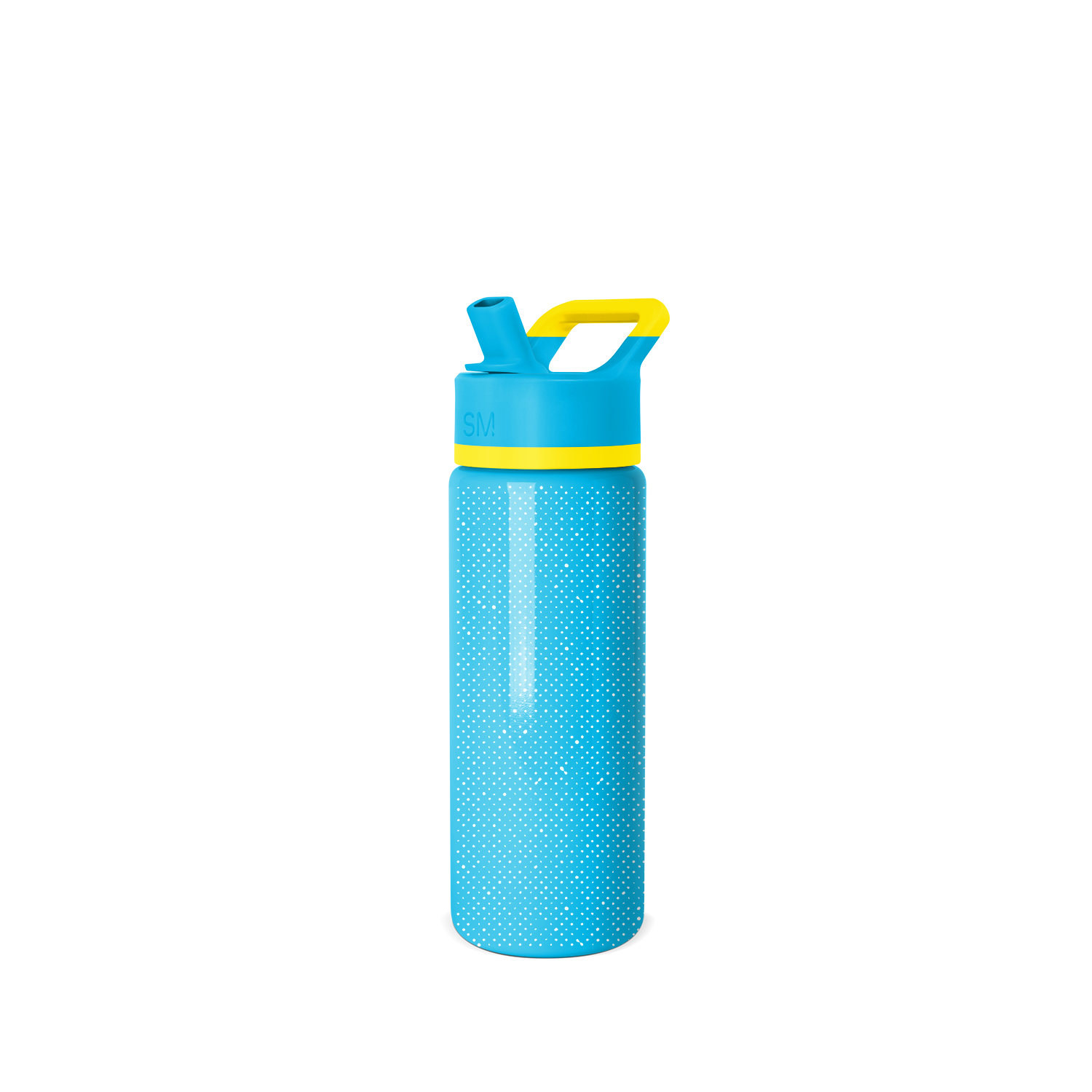 Summit Water Bottle with Straw Lid
