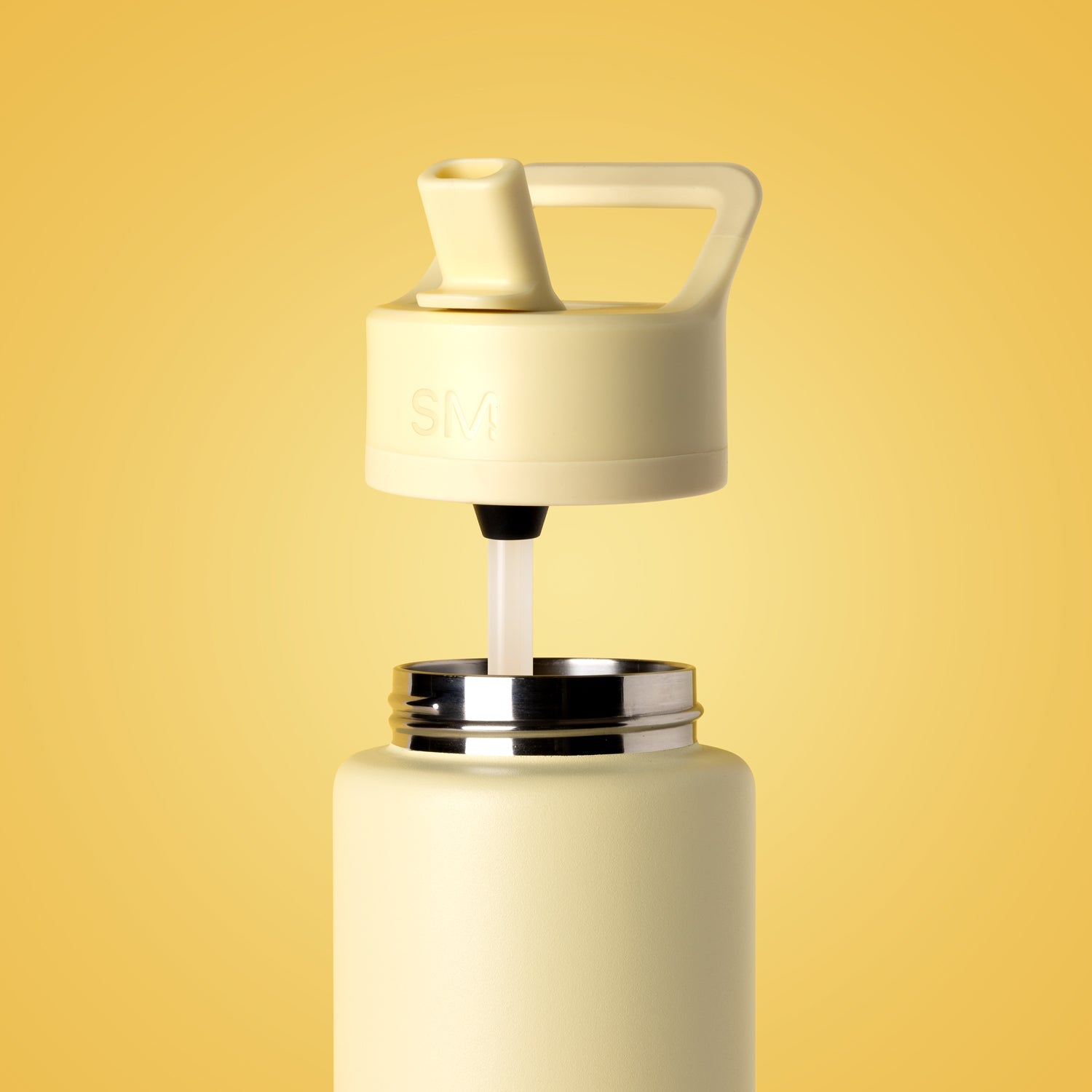 Summit Water Bottle with Straw Lid